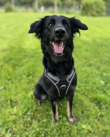 Anja
