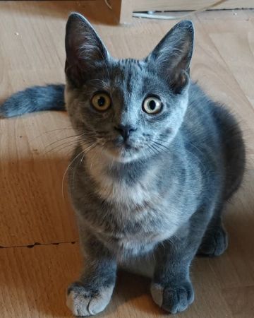 Luna