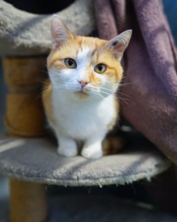 Sammy