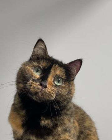 Julie
