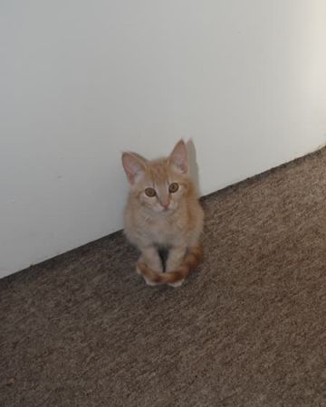 Ellie