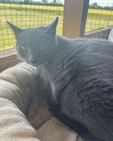Missy