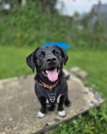 Marvin
