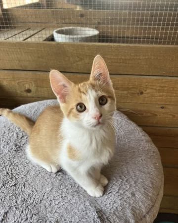 Max
