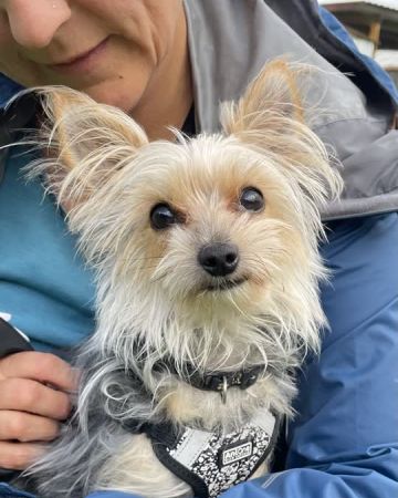 Coco