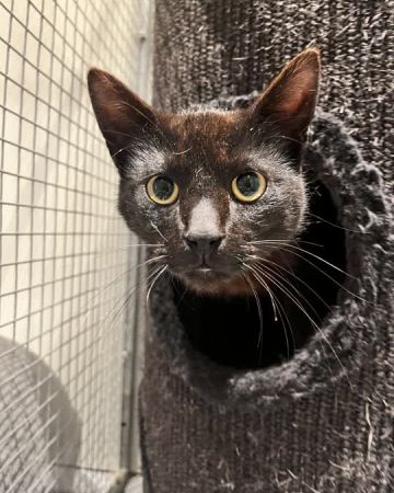 Salem