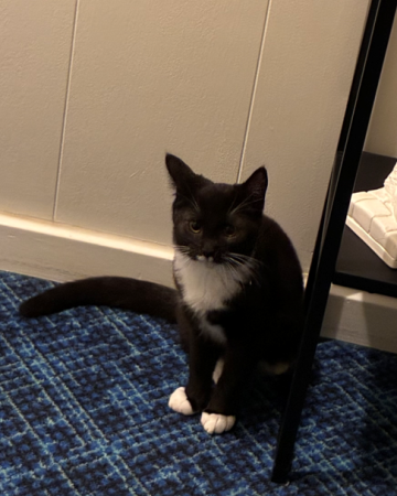 Luna