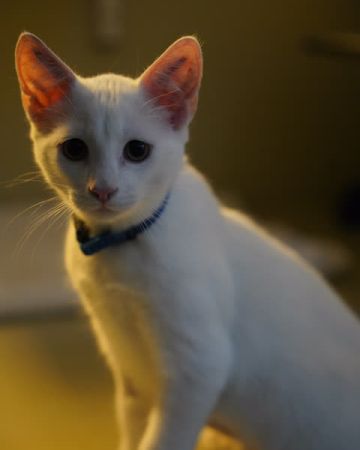 Bill