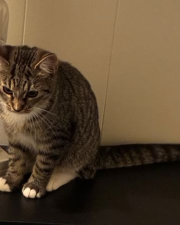 Fiona