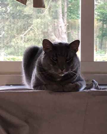 Frederik