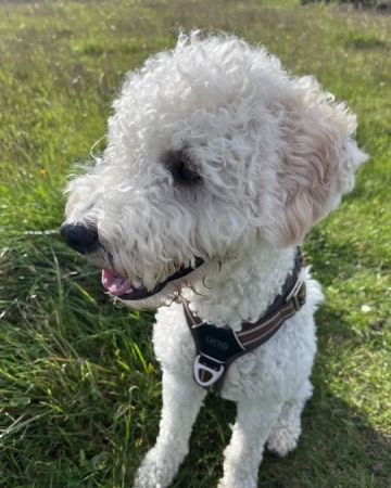 Charlie