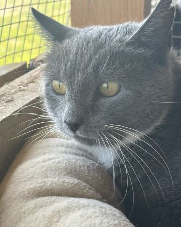 Missy