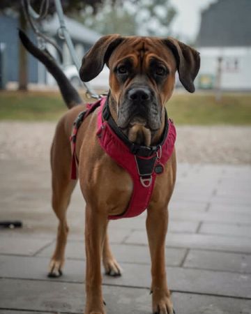 Luna