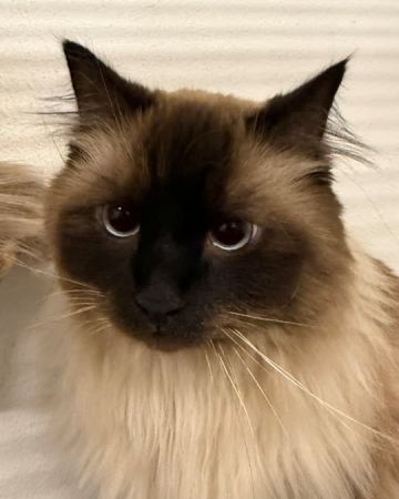 Max