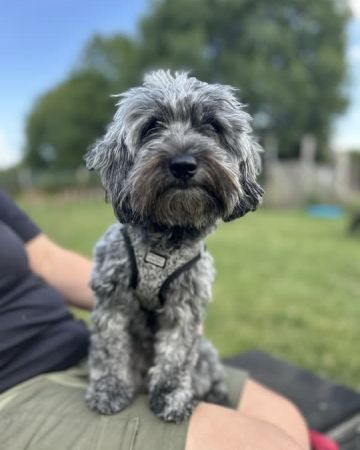 Molly