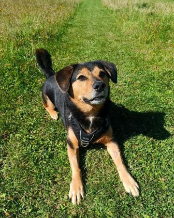 Max