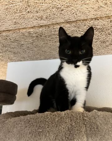 Berta