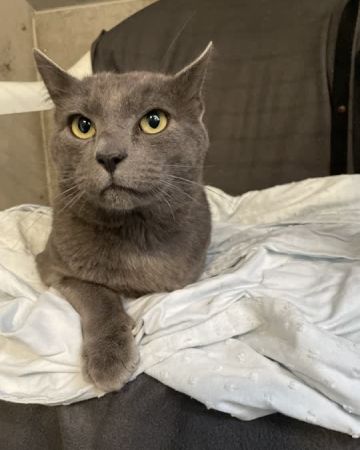 Milo