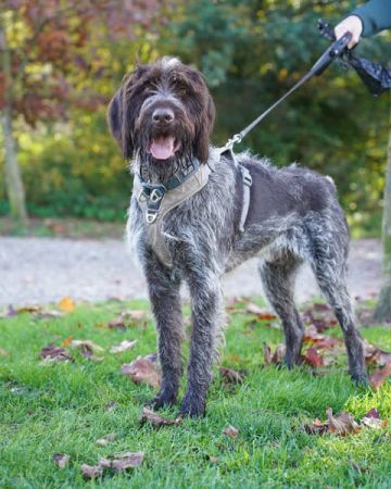 Charlie