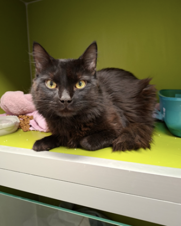D-17767