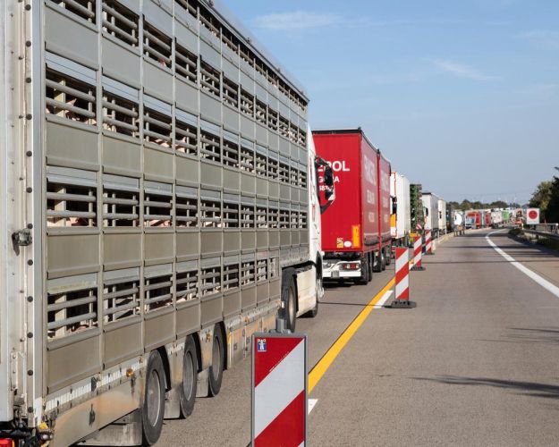 Gristransport i kø på motorvej