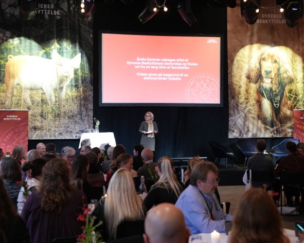 kvinde står på scene i gråt tøj og bud