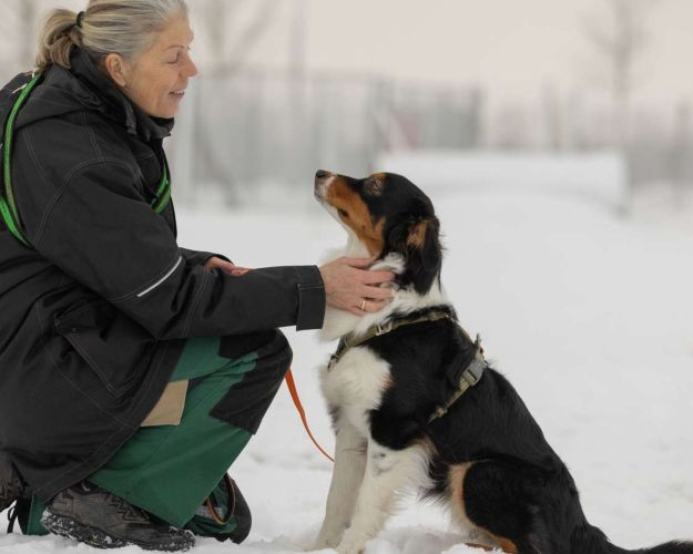 Hund bliver kløet på halsen af en dame, imens de sidder i sneen