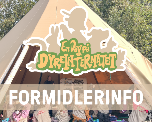 Info til frivillige om En dag på dyreinternatet