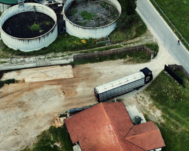 Mere end halvdelen af alle de grise, som sendes afsted på denne måde, transporteres til Italien. I august fulgte Dyrenes Beskyttelse efter en af dem. Foto: Dyrenes Beskyttelse