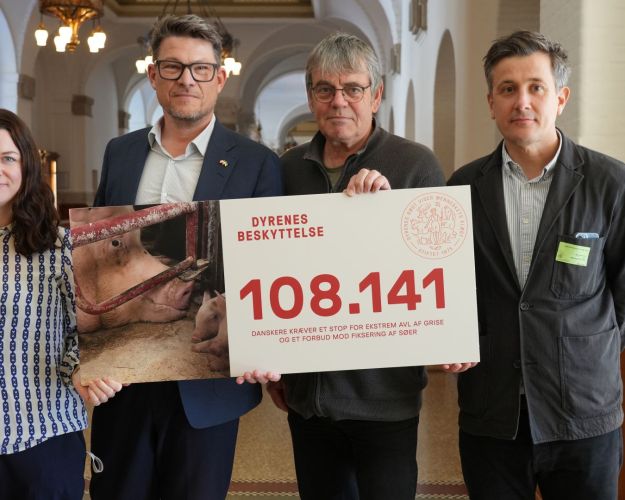 Helene Brydensholt (ALT), Claus Jørgensen (SF) og Søren Egge Rasmussen (EL)