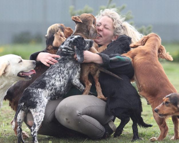 Hunde løber rundt udenfor og hopper op på kvindes skød