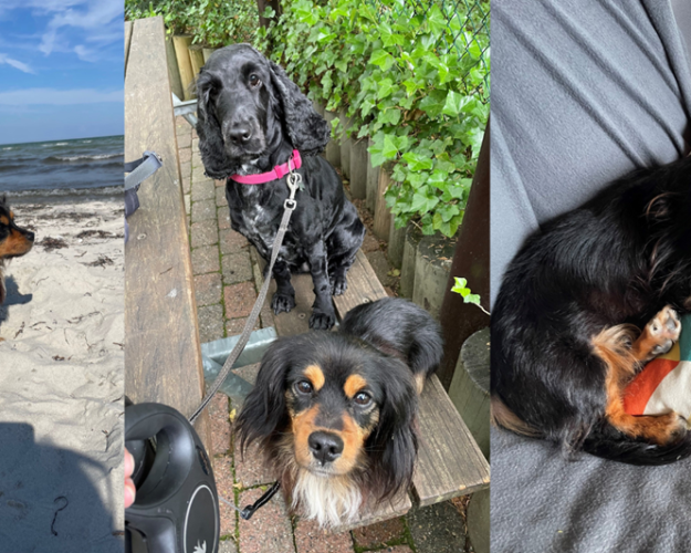 Benny havde levet alene i et hus i årevis, og fik kun sporadisk mad og vand. I dag nyder han livet i en ny familie. Foto: Privat