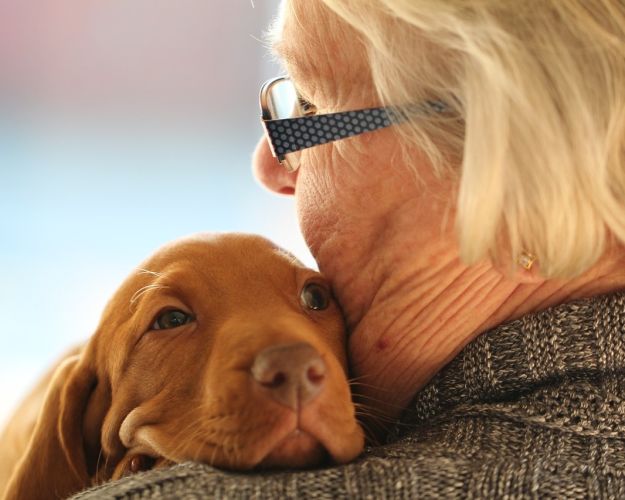 hund på skulder af ældre kvinde