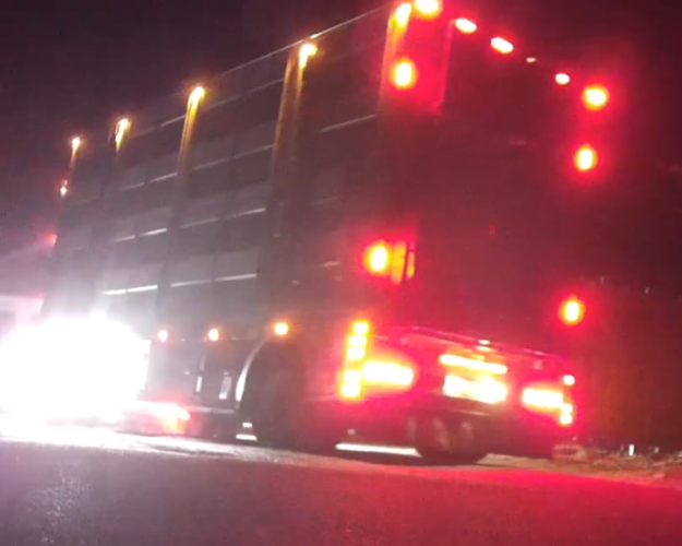 Grisetransport kører afsted