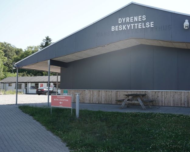 Dyrenes Beskyttelse ved Tranbjerg i Århus