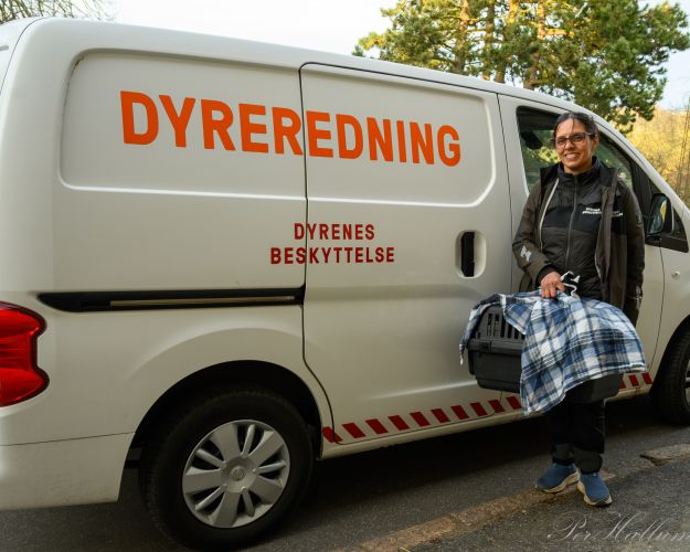 Michelle foran dyreredningsbil