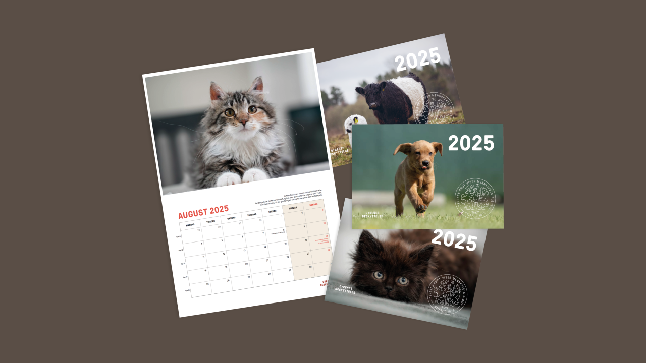 Kalender