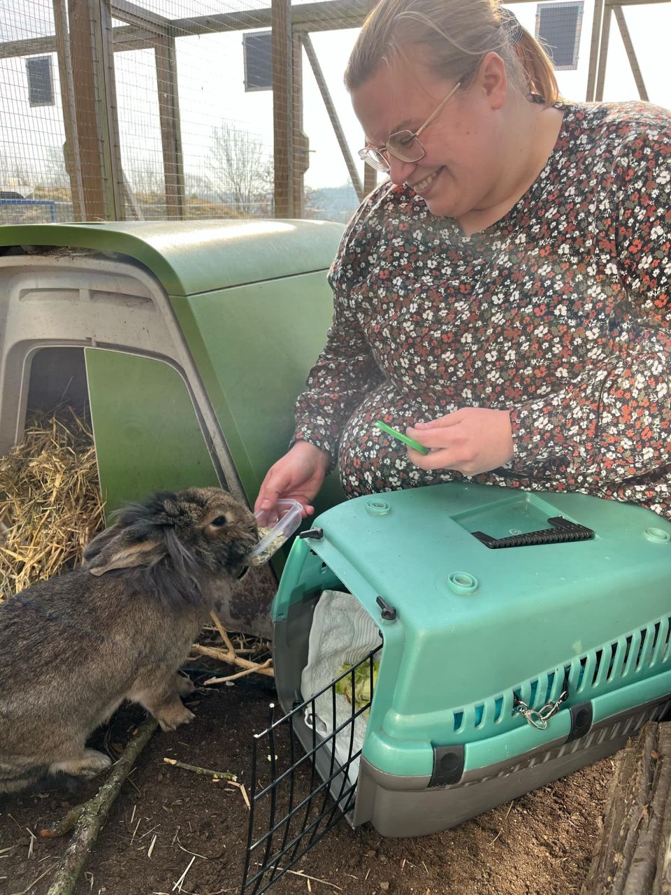 Her bliver kaninen Pelle hentet efter næsten et år på internat af sin nye ejer. Foto: Stine Skov-Jensen/Dyrenes Beskyttelse Den sorte løvehovedblanding Pelle bliver hentet af ny ejer i turkis transportkasse.
