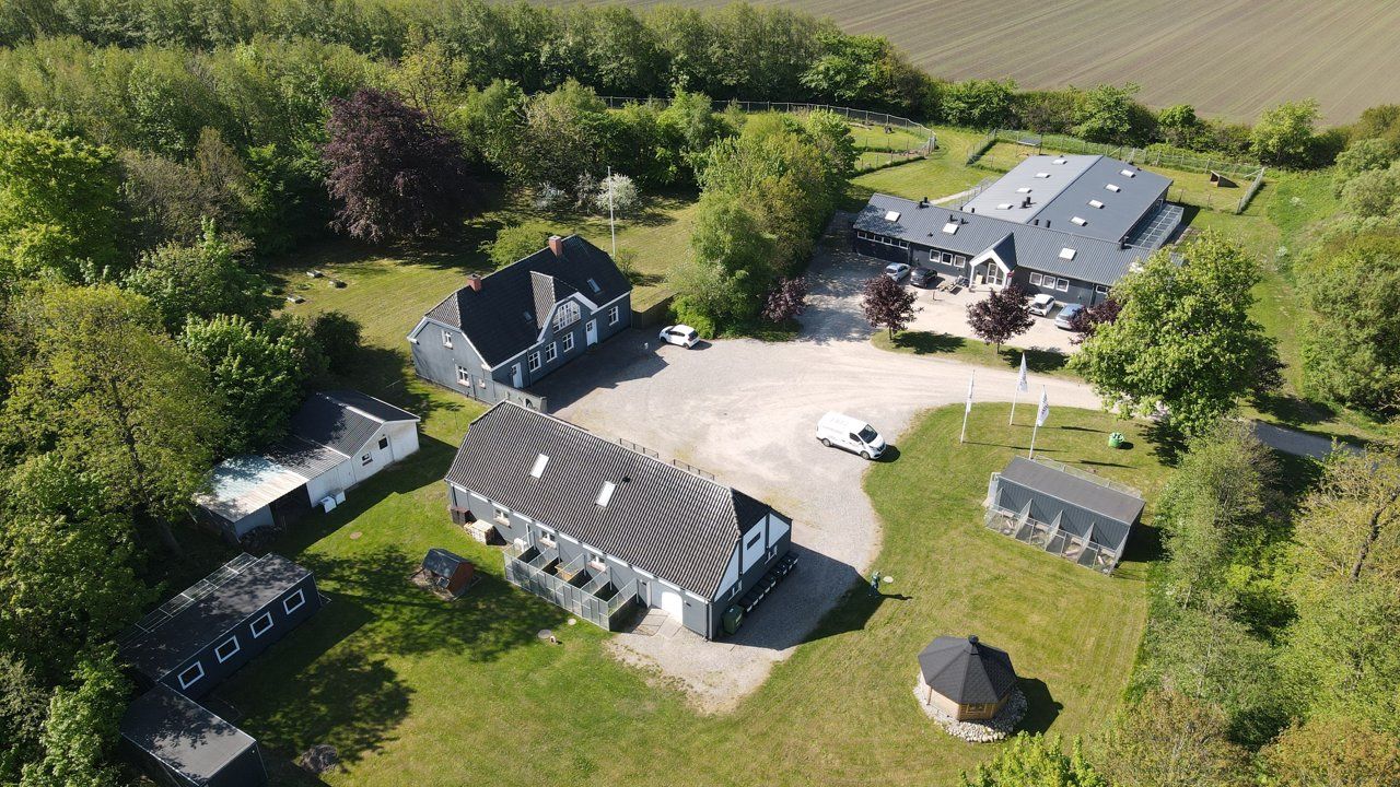 Nordjyllands Dyreinternat i Hjallerup, Aalborg