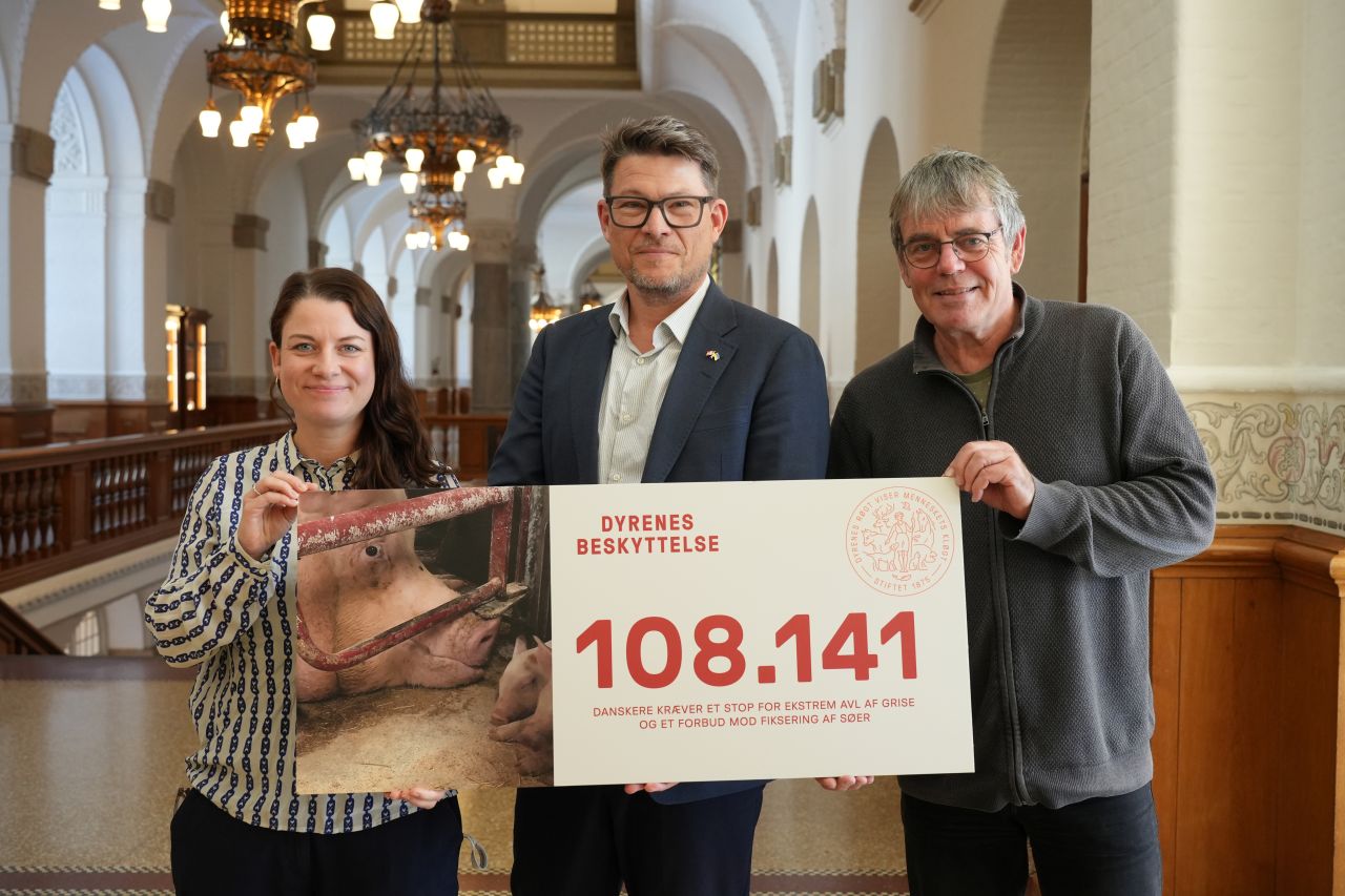 Helene Brydensholt (ALT), Claus Jørgensen (SF) og Søren Egge (EL).