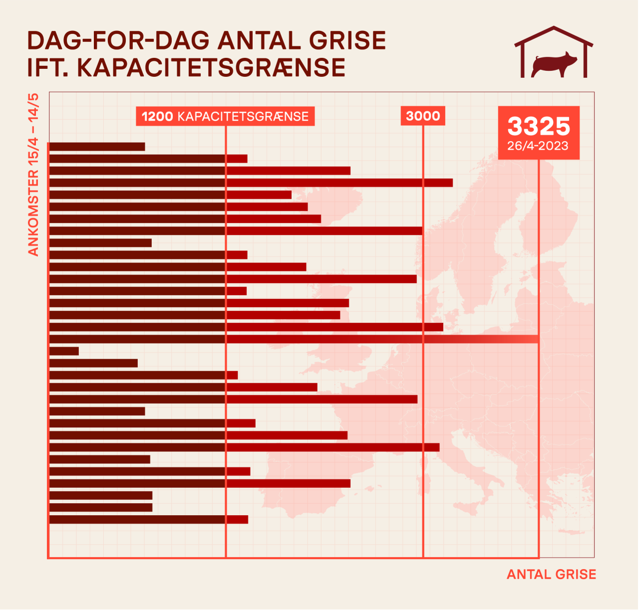 Aktindsigter viser, at der sendes langt flere grise til samlestedet i Campo Tures, end det er godkendt til at håndtere. Grafik: Jakob Eklund Aktindsigter viser, at der sendes langt flere grise til samlestedet i Campo Tures, end det er godkendt til at håndtere. Grafik: Jakob Eklund