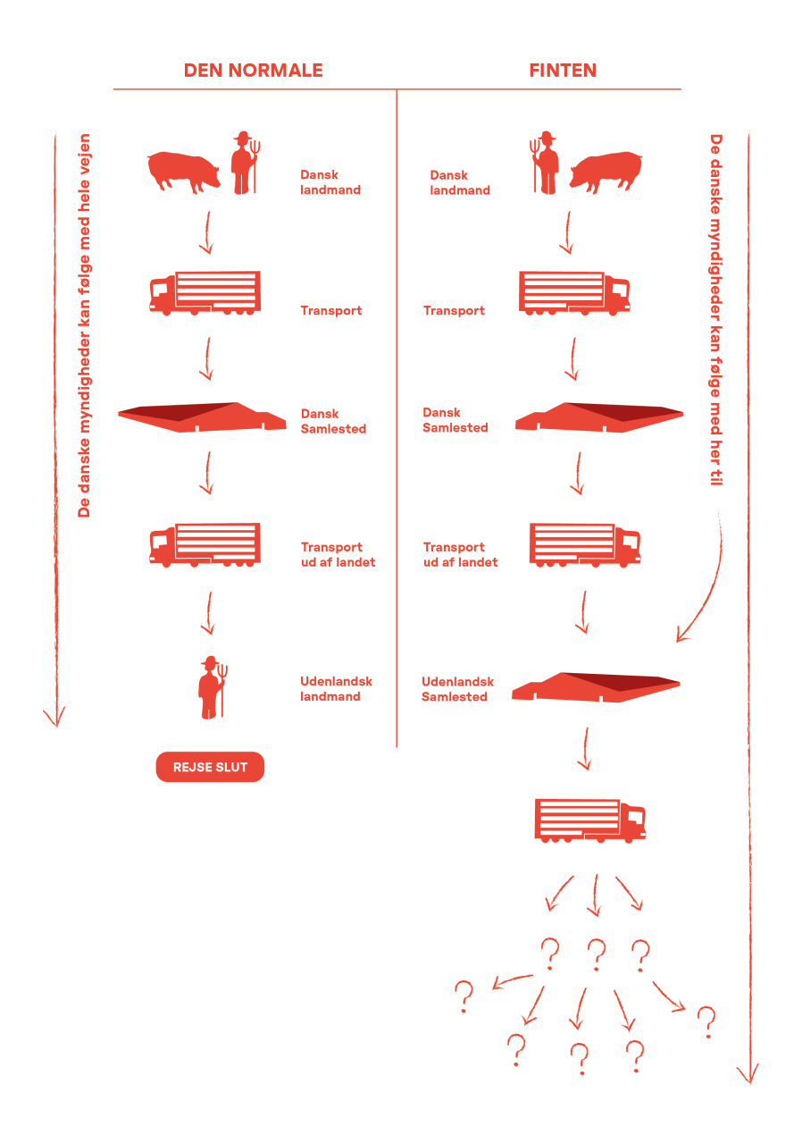 Grafik: Emma Lumsden