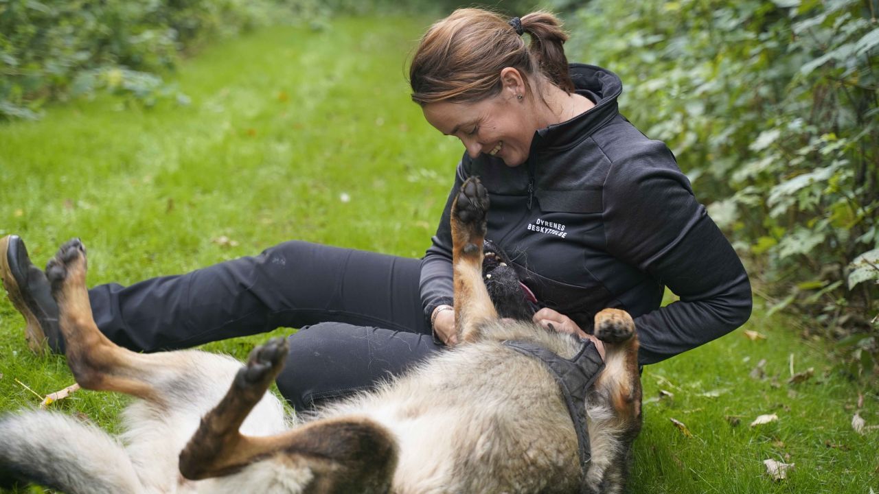 Kvinde leger med hund på græsplæne