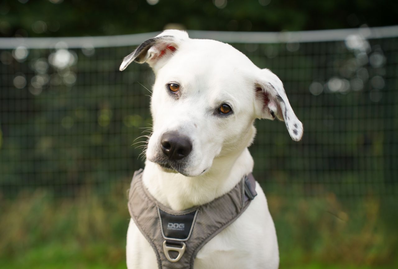 Foto: Rebekka Andreasen