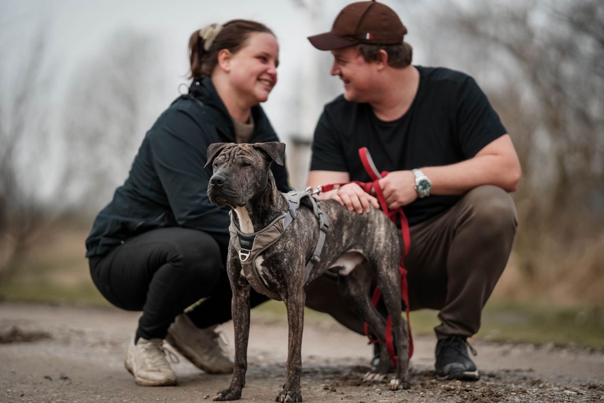 hund står på sti i snor med sine to ejere bag ved