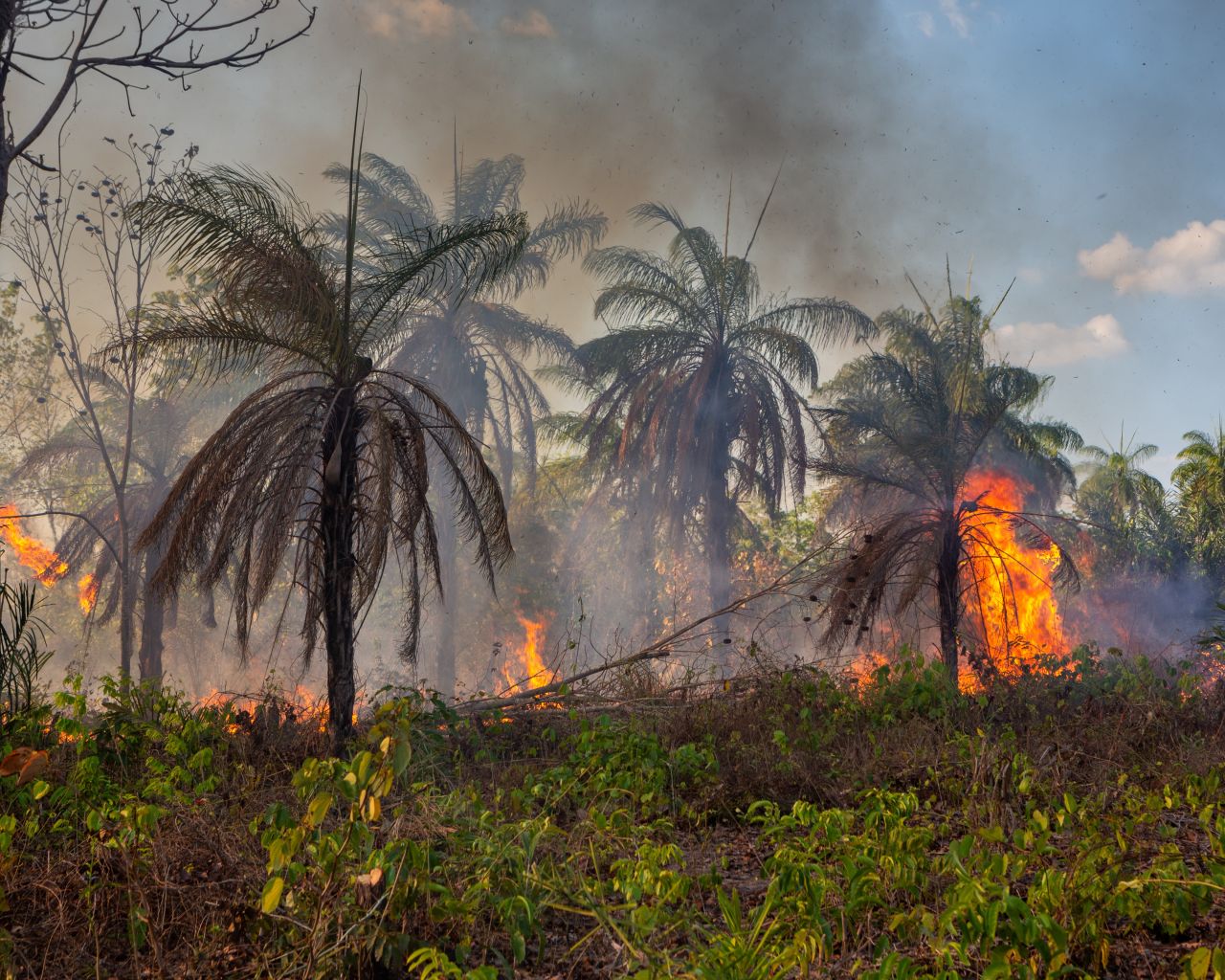 En brændende Amazonas