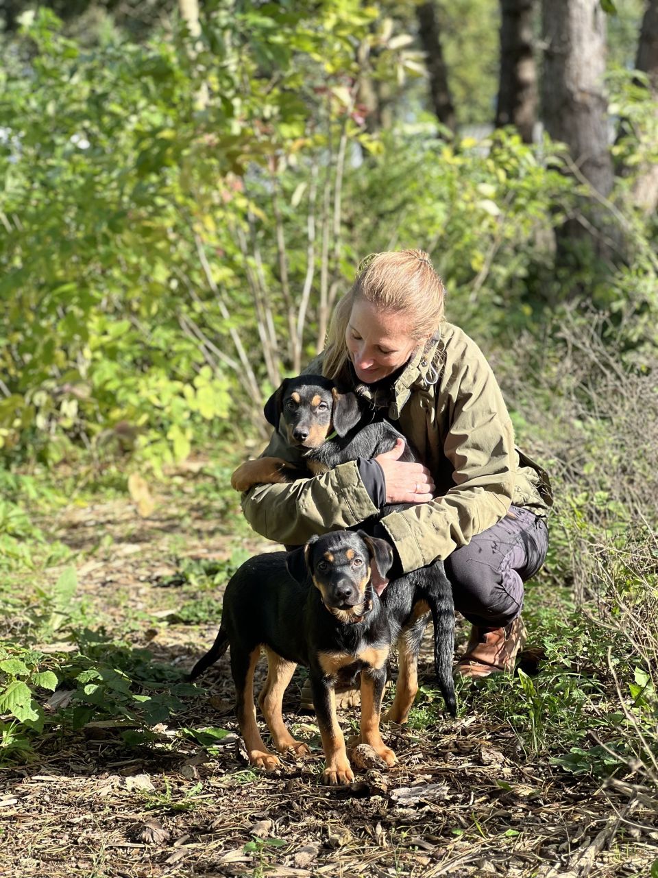 Hund og dyrepasser på dyreinternat