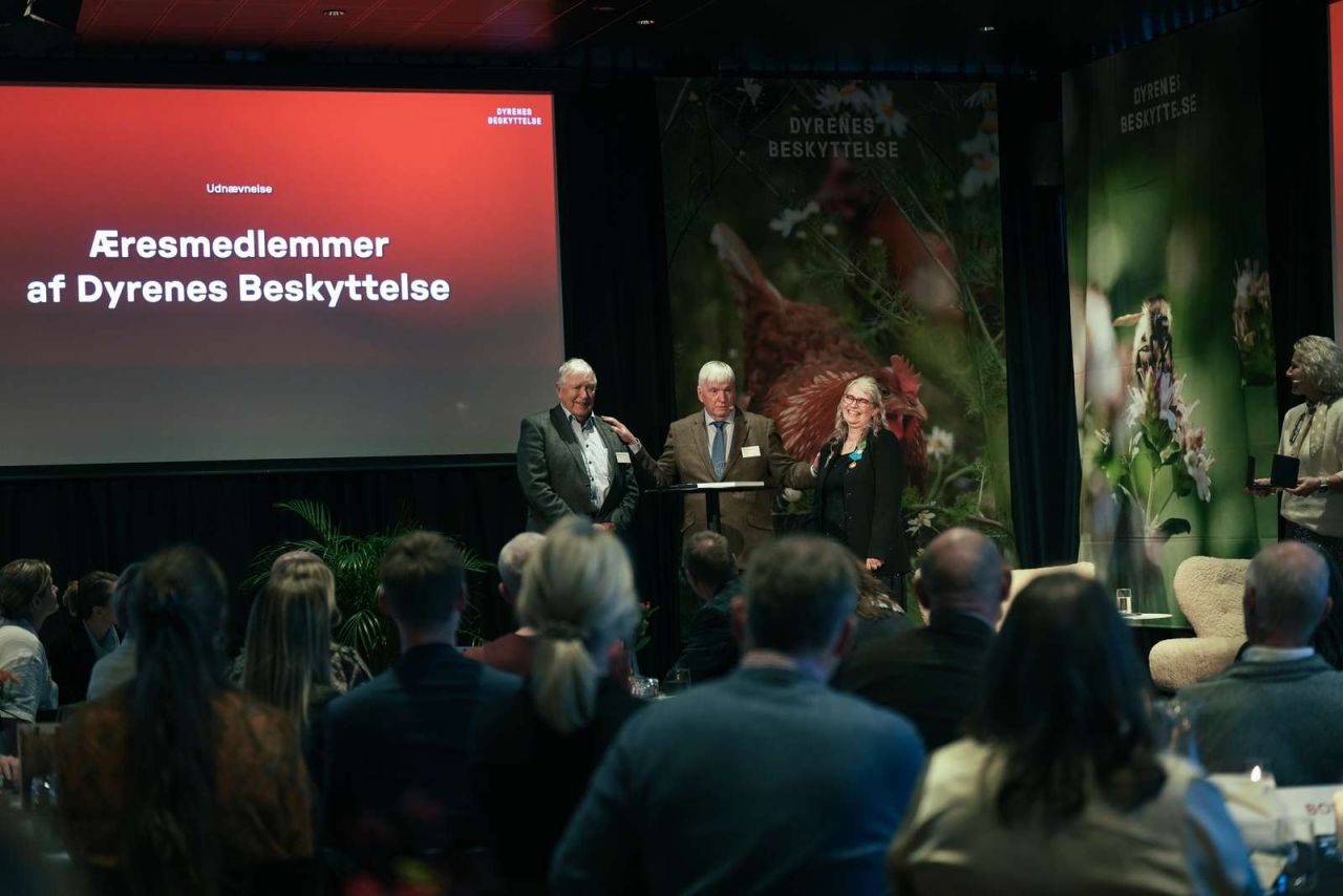 Områdeformand for Ribe, Jørn Neerup Rørvang, og områdeformand for Vejle, Leila Andersen, på scenen. 