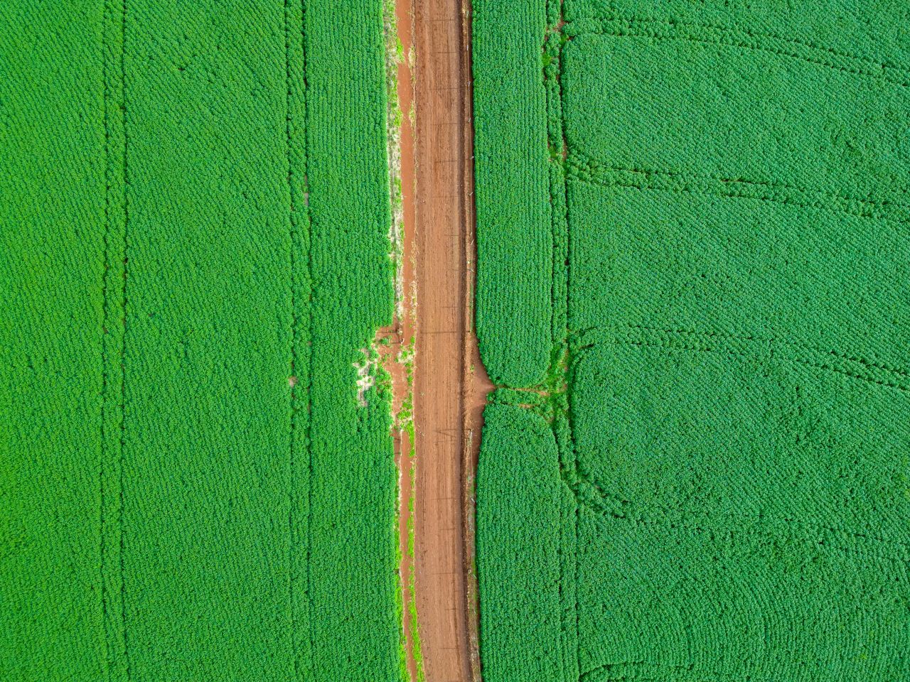 Sojamark set oppefra. 