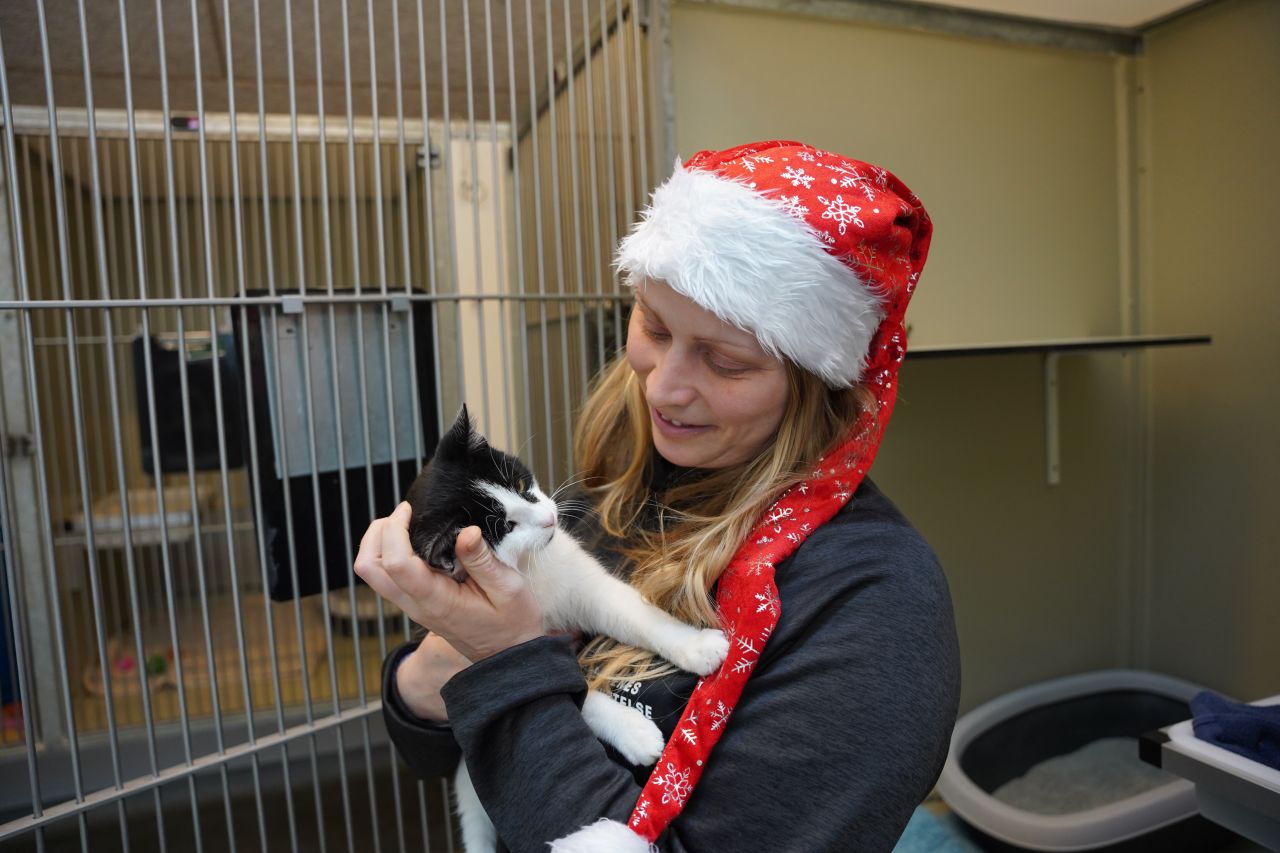 Katrine med kat - Kvinde i rød nissehue kigger kærligt på en sort og hvid kat, hun holder foran en katteboks.